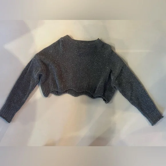 Zara Grey Silver  Crop Sparkle Sweater - Picture 3 of 11
